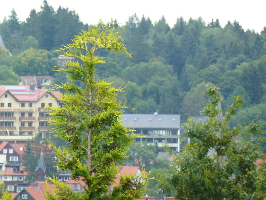 Harzhaus Willkommen Braunlage Exterior photo